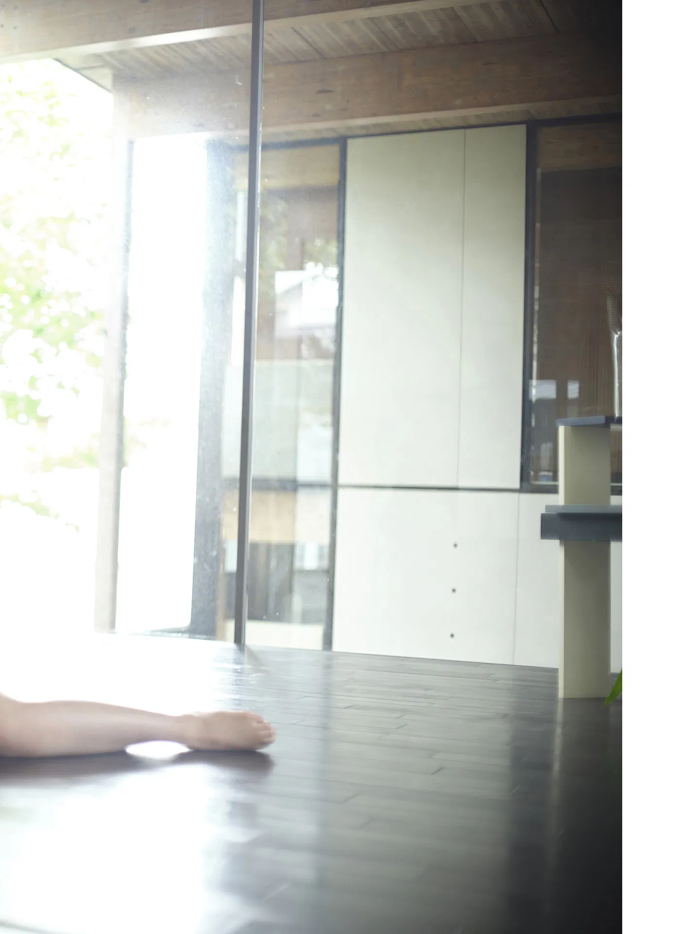 [Photobook] 蓬莱舞 夢まぼろし ENTAMEデジタルフォトブック