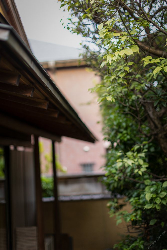 妃ひかり 国宝級Fカップおっぱいのヌード画像！