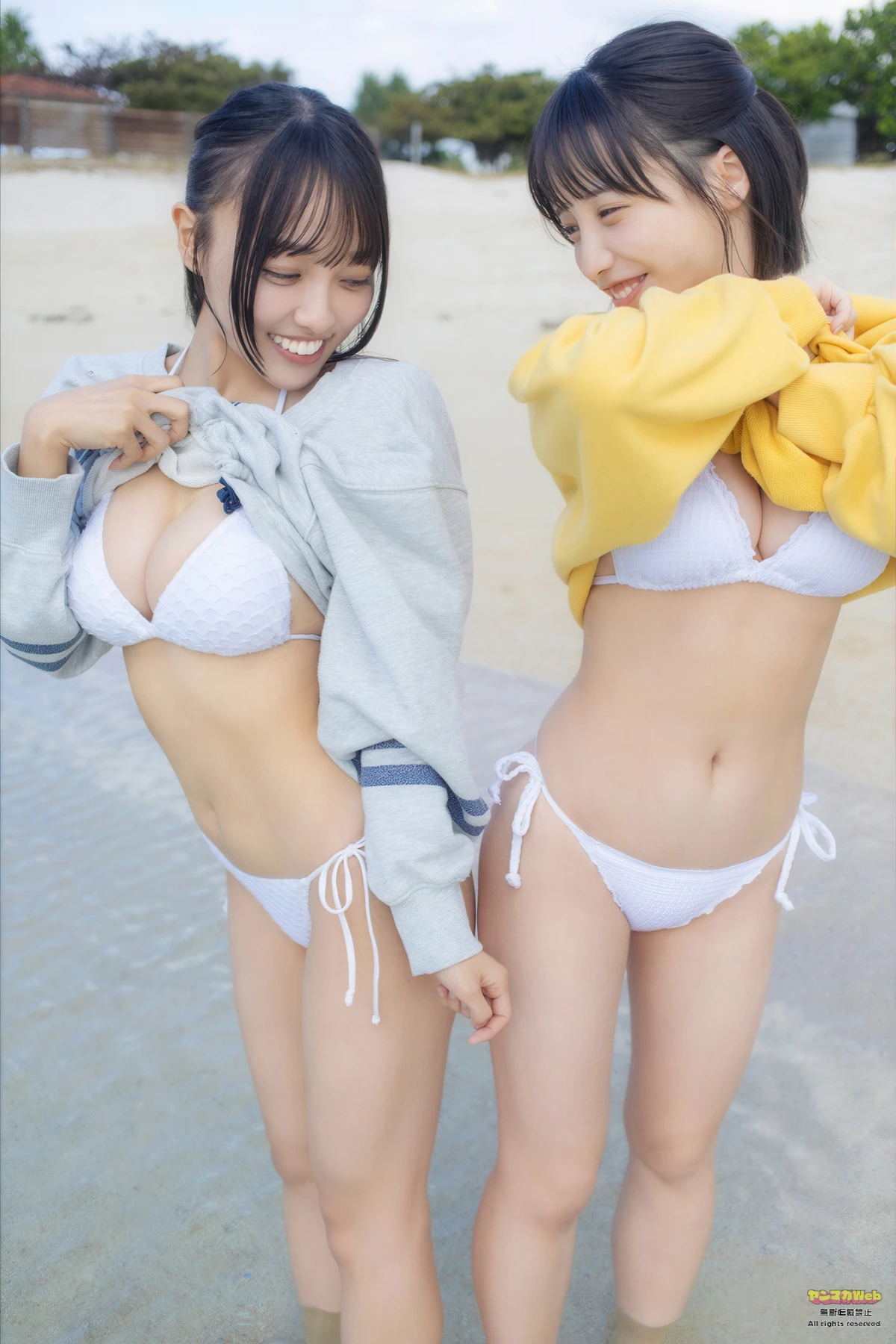 Hanonmayu はのんまゆ, Suzume すずめ, Gekkan Young Magazine 2026 No.03 (月刊ヤングマガジン 2026年3号)