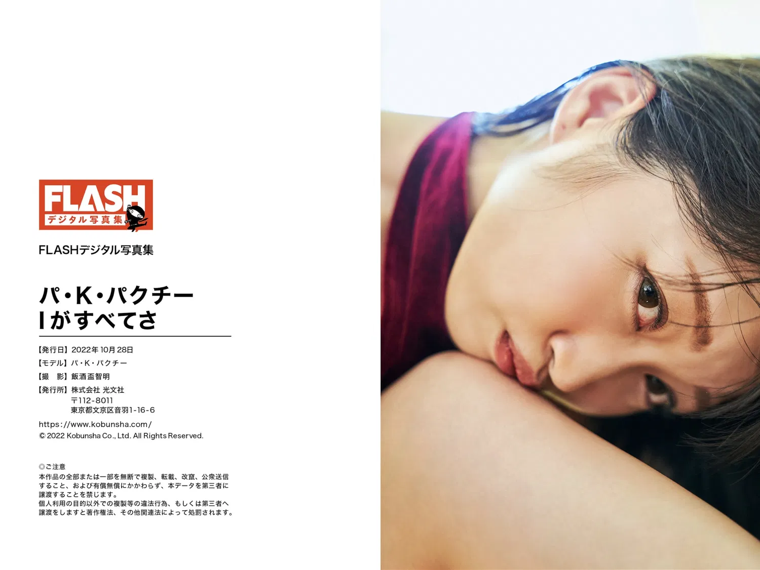 FLASHデジタル写真集 パ・K・パクチー Ｉがすべてさ