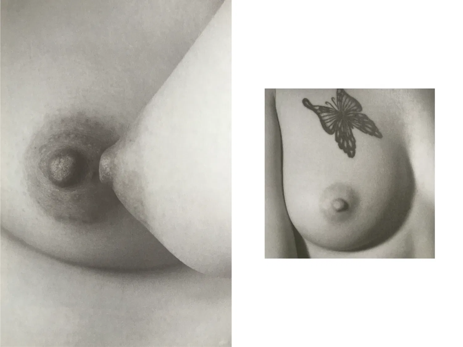 [Photobook] 100人のおっぱい