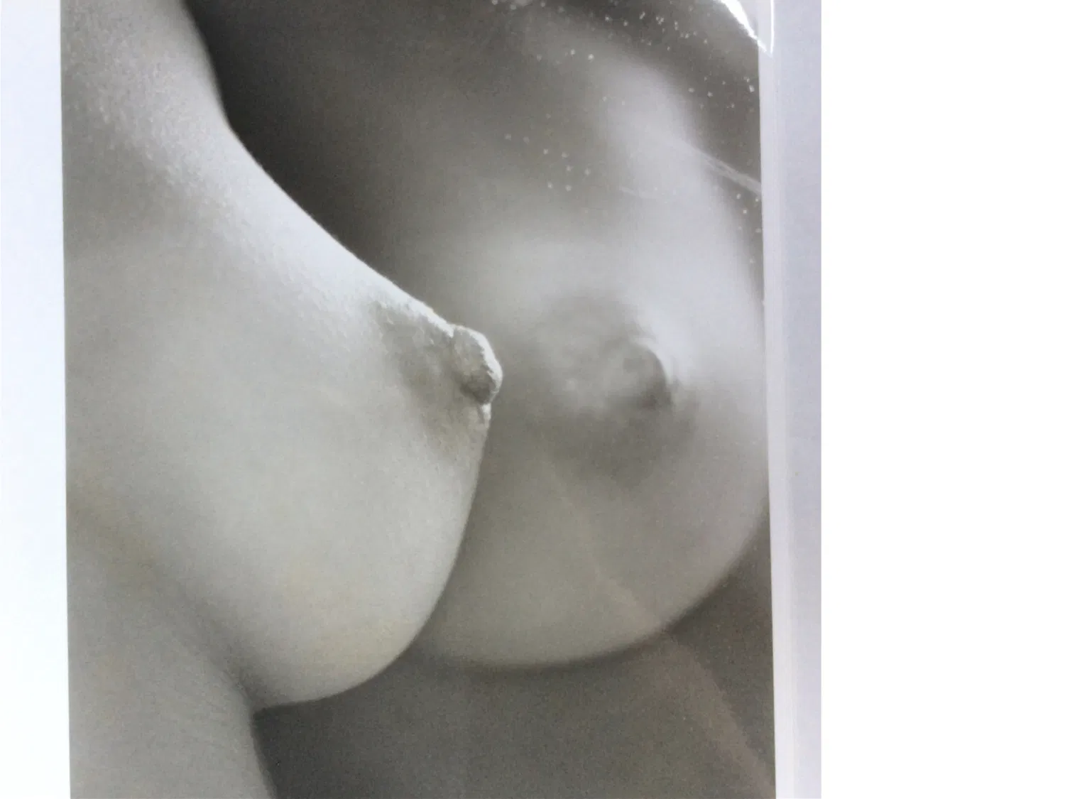 [Photobook] 100人のおっぱい