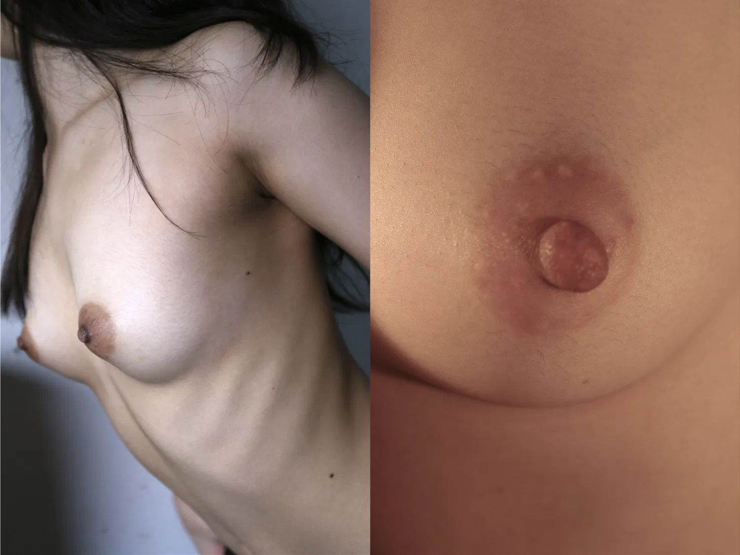 [Photobook] 100人のおっぱい