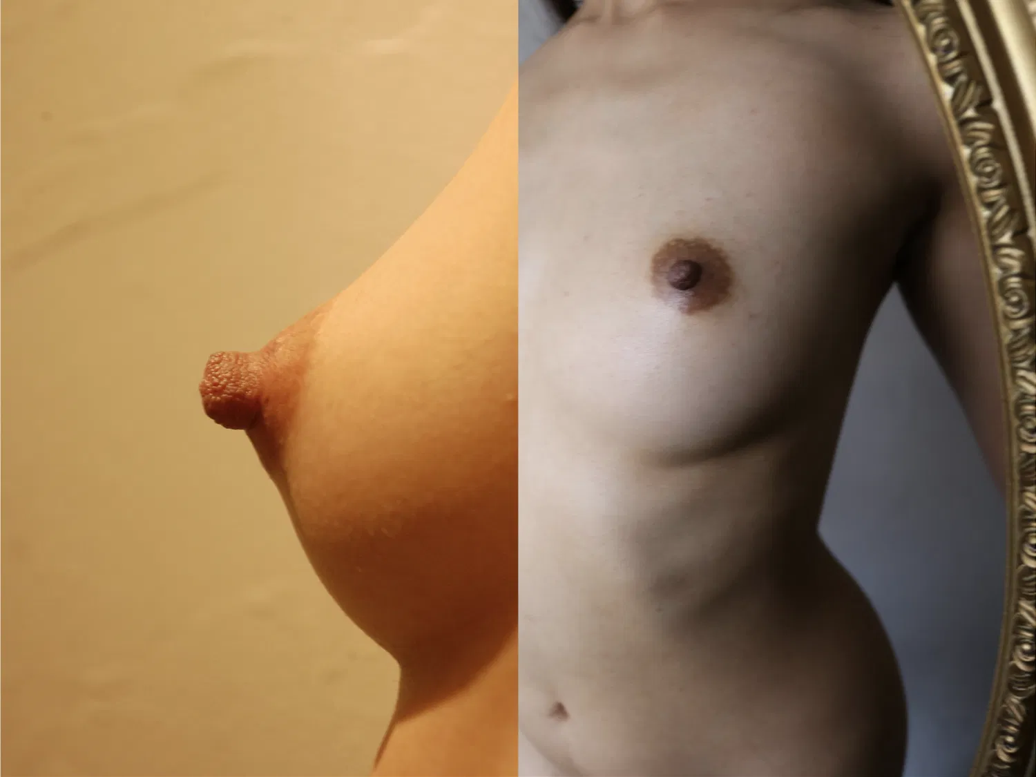 [Photobook] 100人のおっぱい