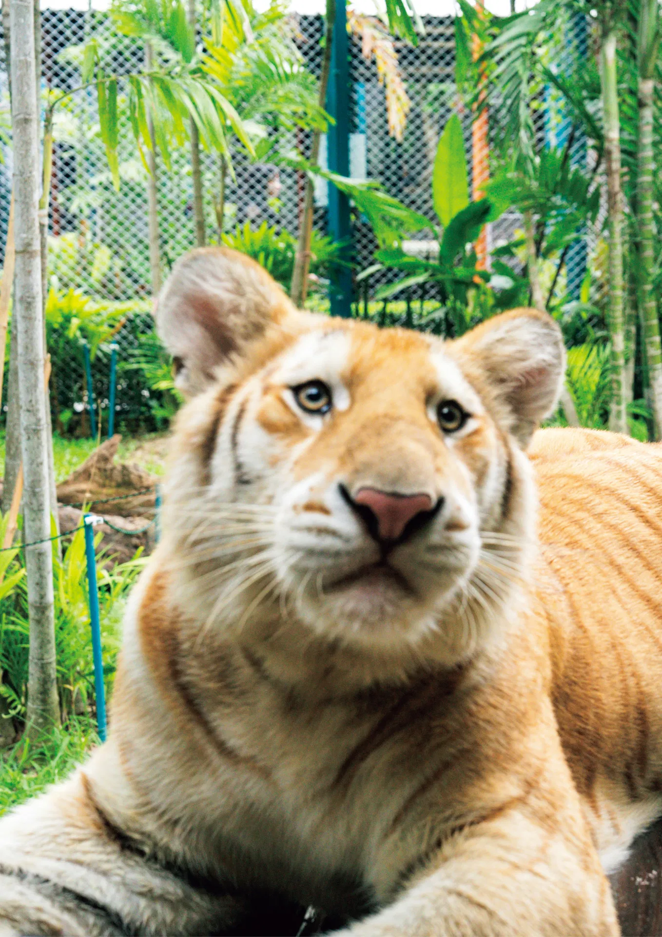 [Photobook] 2025.02.28 【電子版限定45ページ増】都丸紗也華 4th写真集 10。