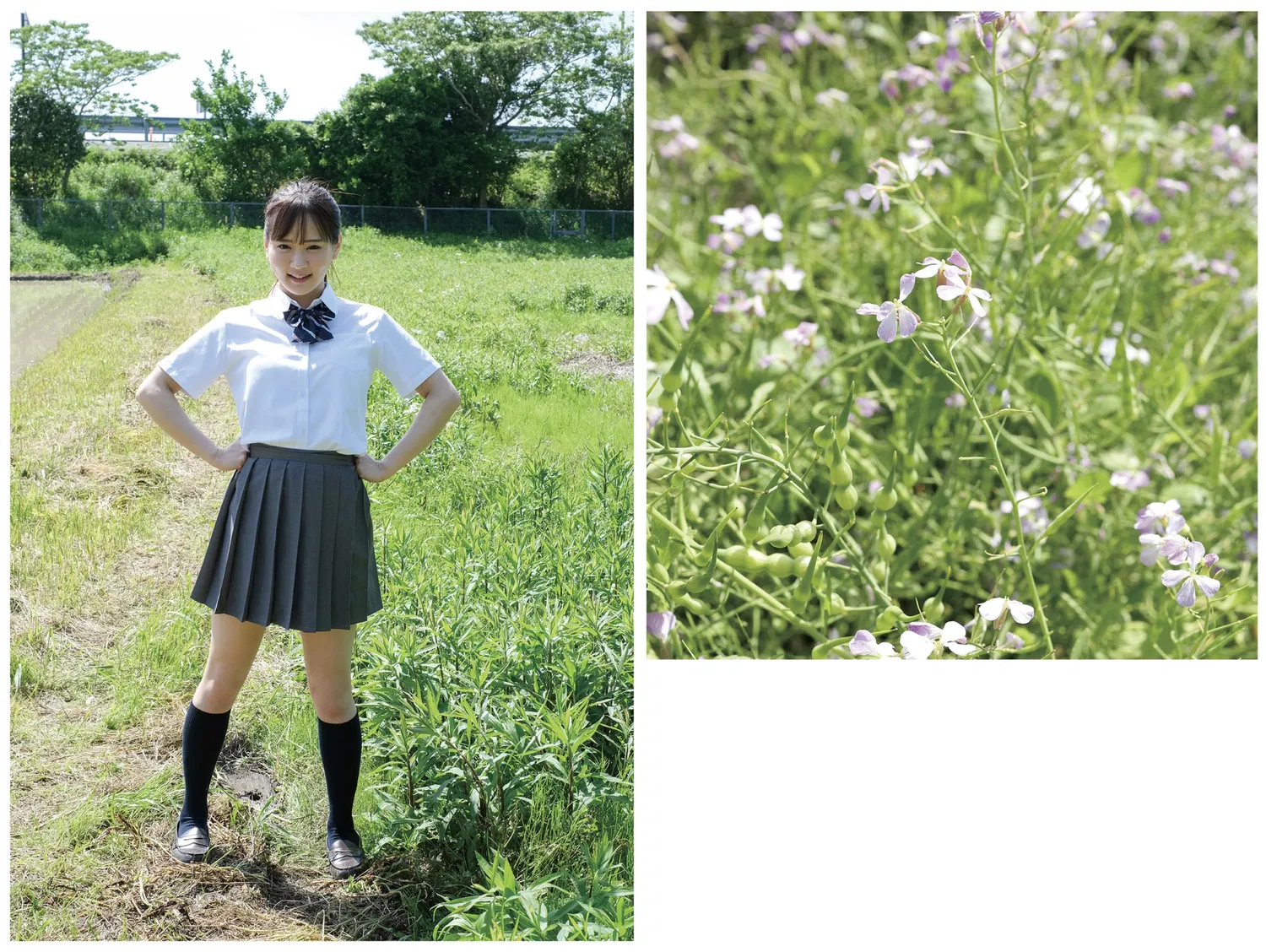 [Photobook] 広瀬なるみ ヌード写真集『風に包まれて』