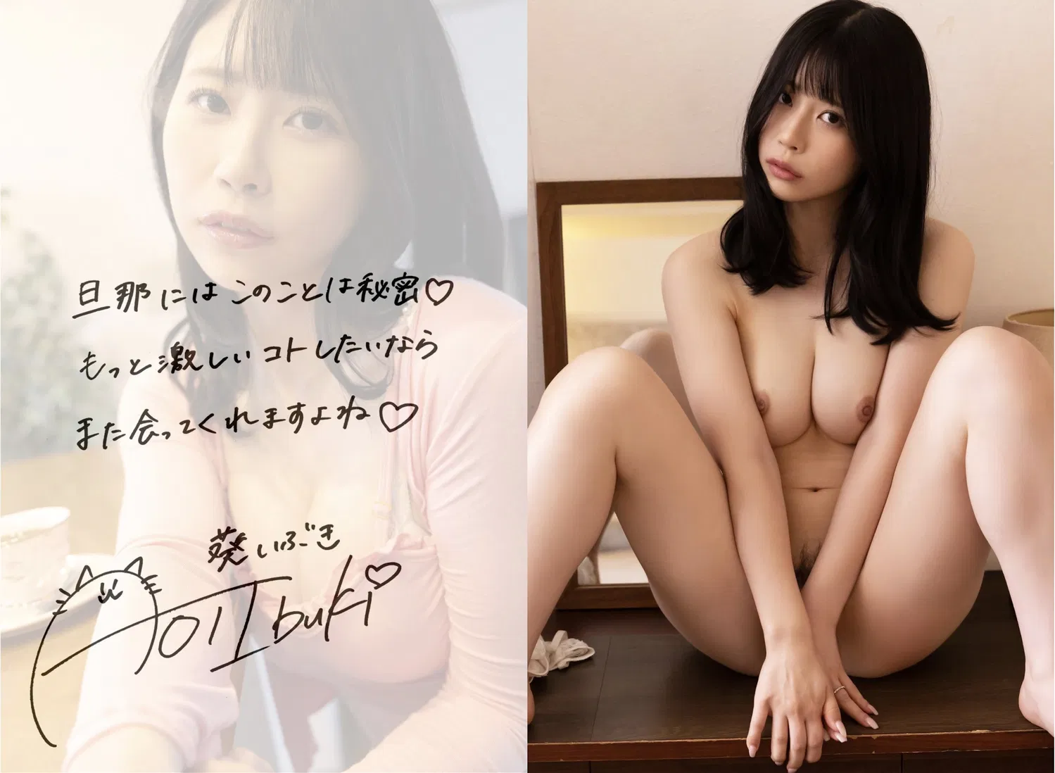 [Photobook] 葵いぶき また会ってくれますか？ 解禁お宝プレミアム