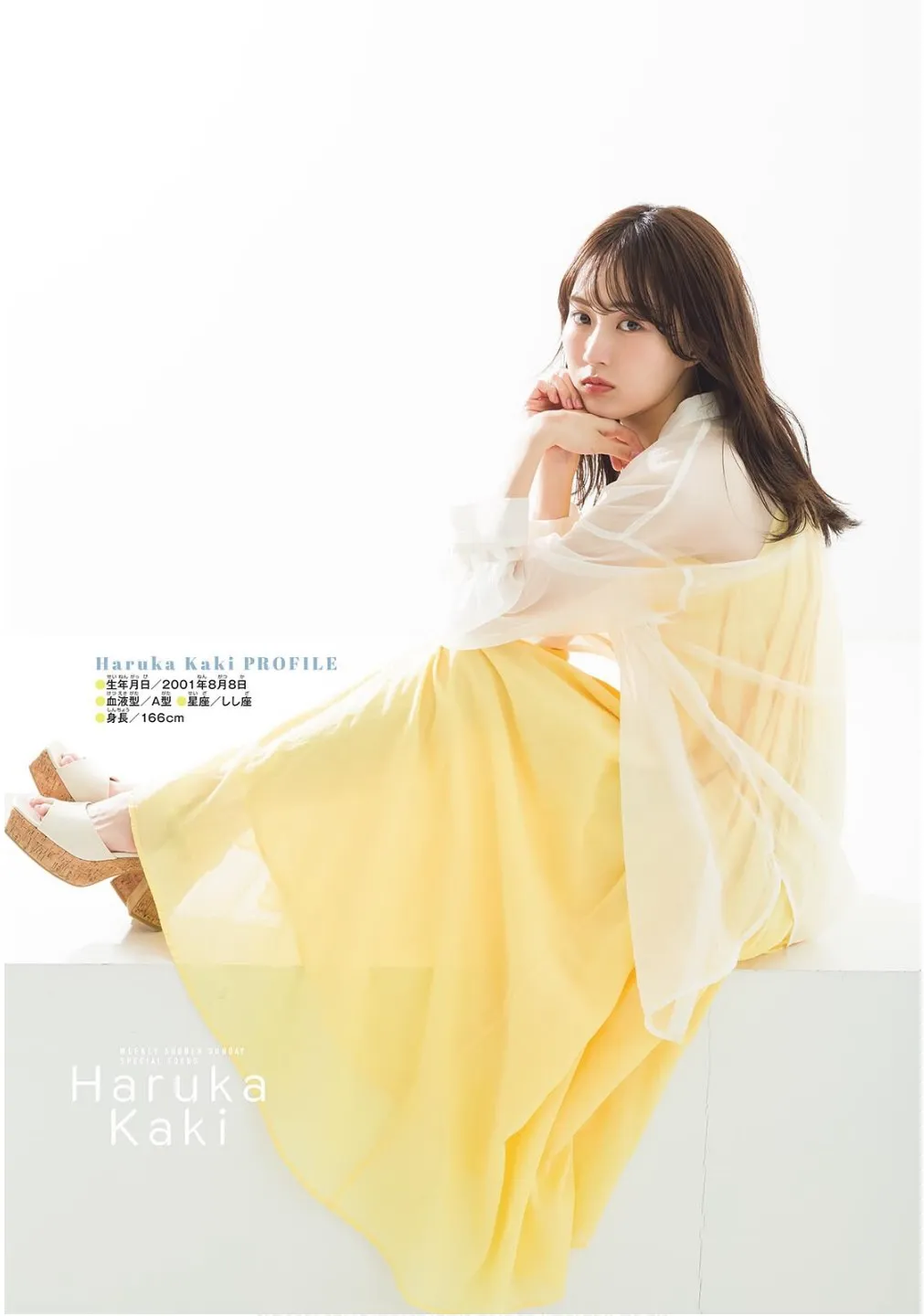 [Shonen Sunday] 2025 No.21-22