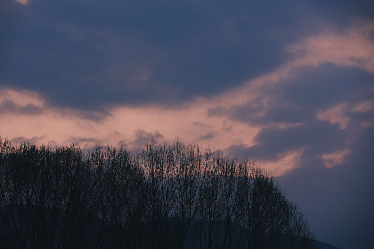 YiTuYu艺图语 Vol.8869 Yi Ming