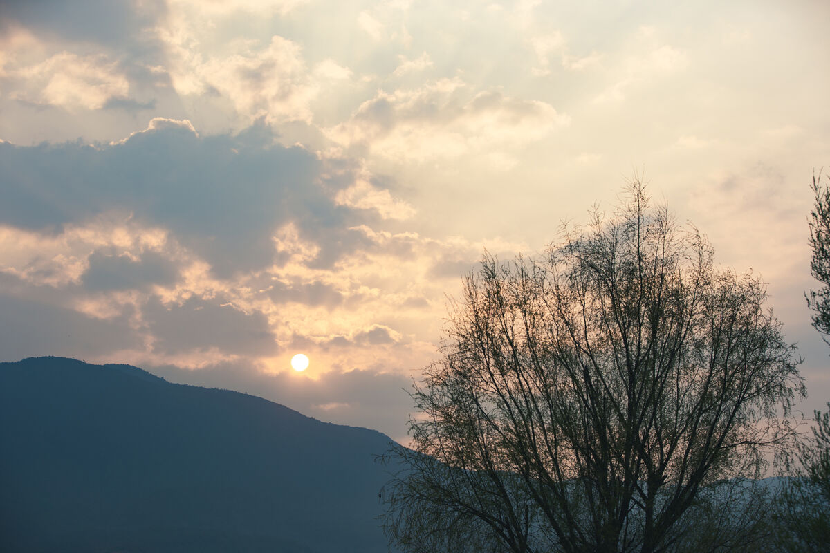 YiTuYu艺图语 Vol.8869 Yi Ming