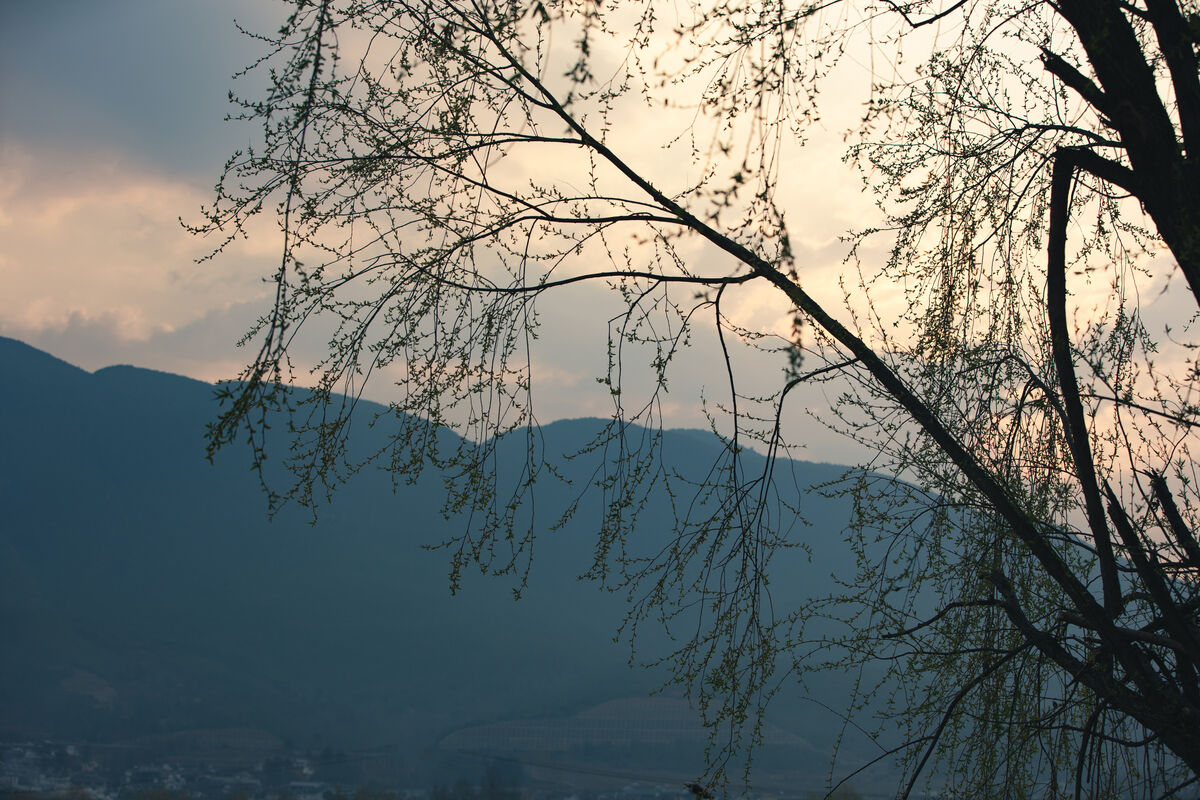 YiTuYu艺图语 Vol.8869 Yi Ming