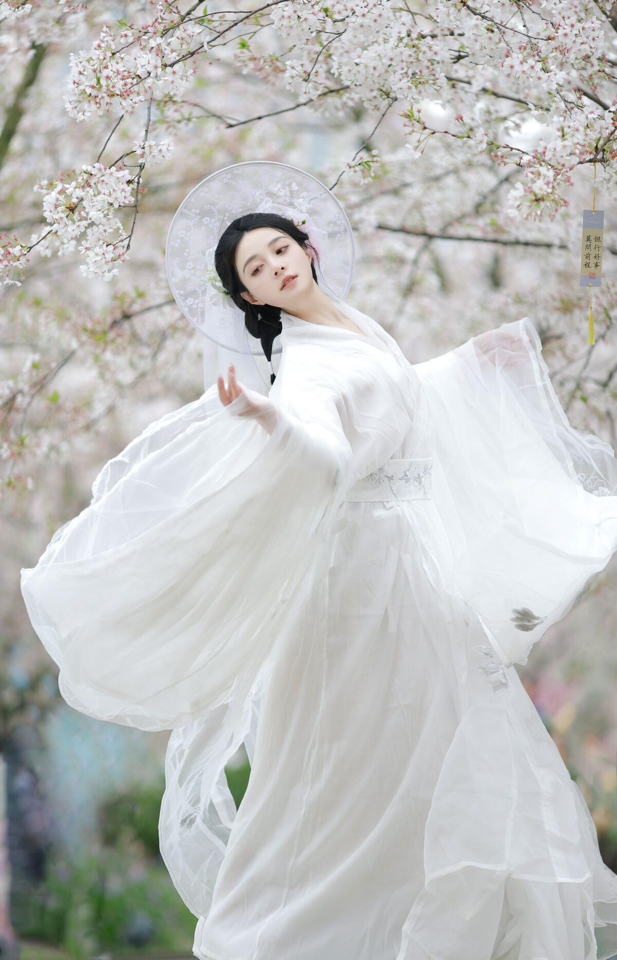 YiTuYu艺图语 Vol.8880 Sui Sui Ru Yi