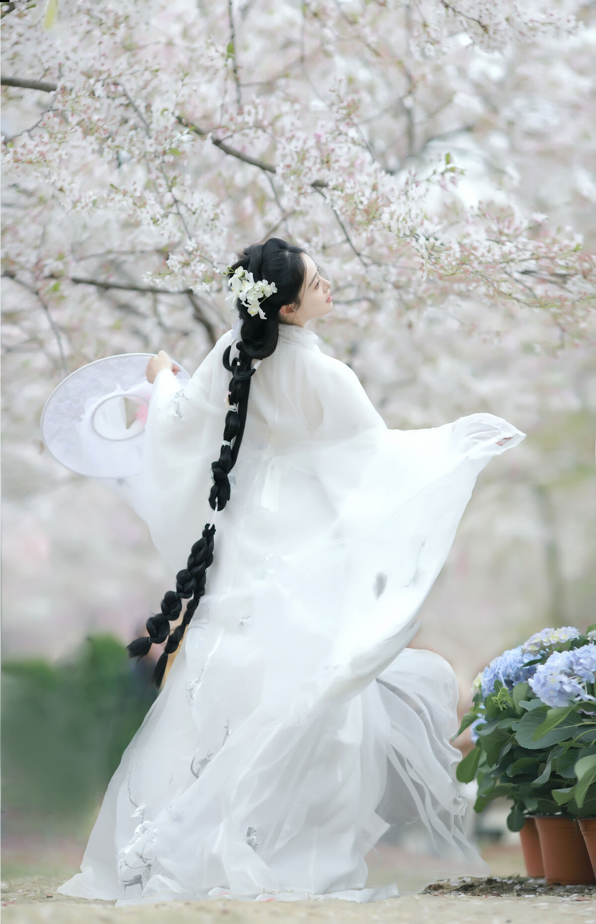 YiTuYu艺图语 Vol.8880 Sui Sui Ru Yi