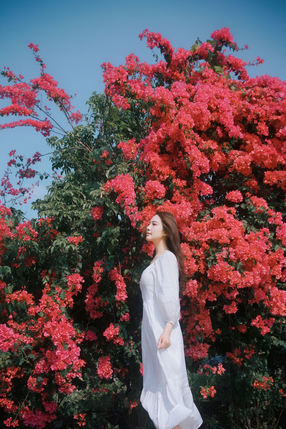 YiTuYu艺图语 Vol.8884 Ying Er YY