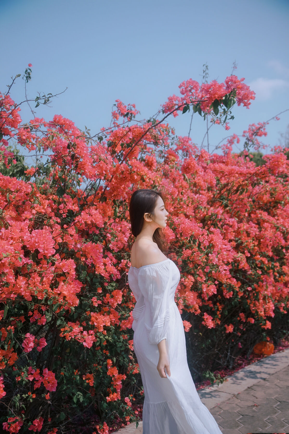 YiTuYu艺图语 Vol.8884 Ying Er YY