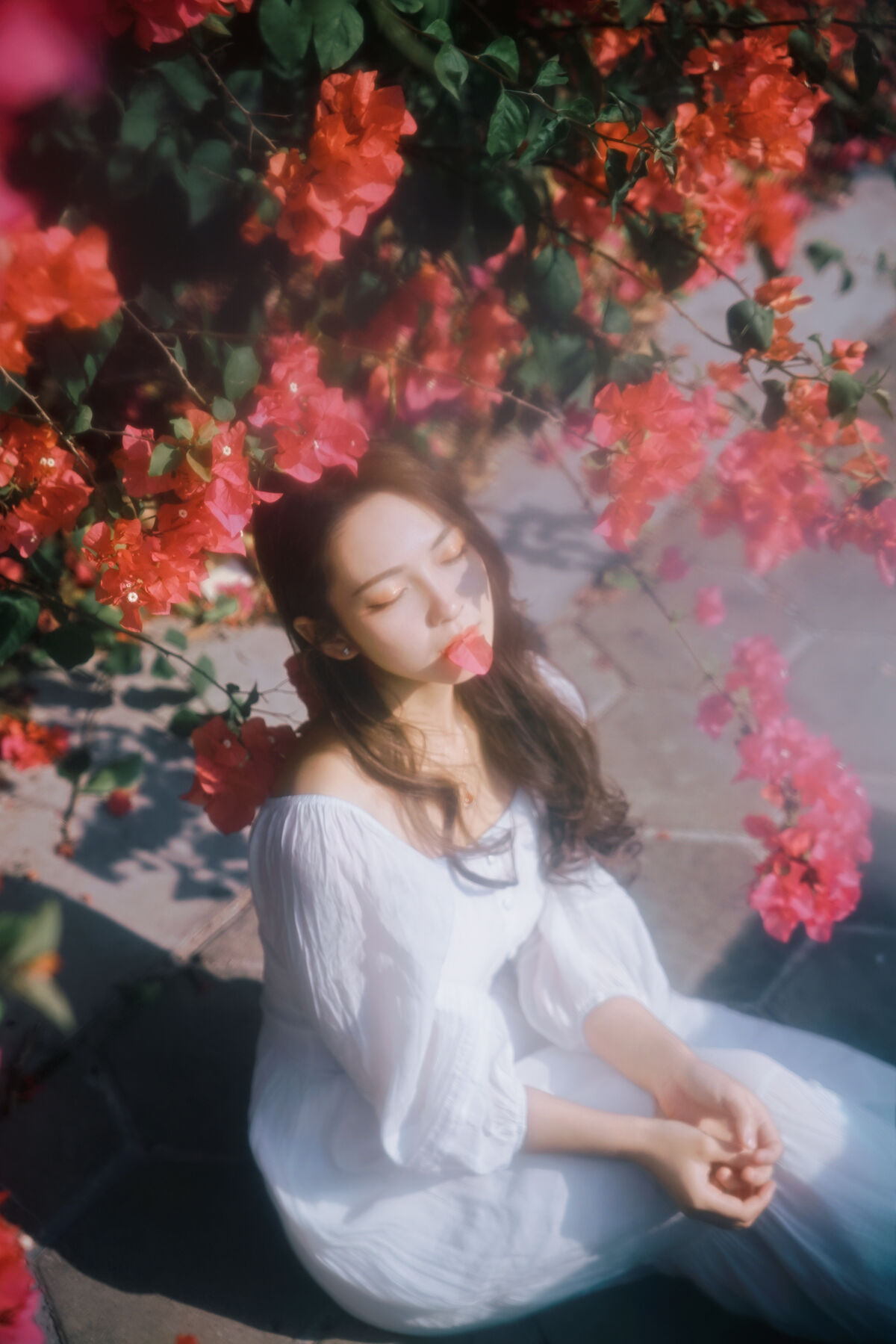 YiTuYu艺图语 Vol.8884 Ying Er YY