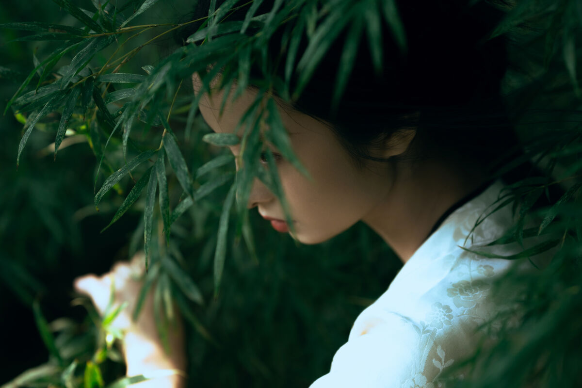 YiTuYu艺图语 Vol.8893 Li Yu Ayu