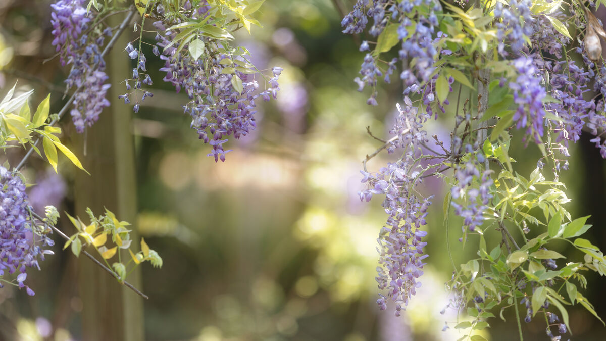 YiTuYu艺图语 Vol.8900 Xiao Y Jin Tian Ye Hen Kai Xin