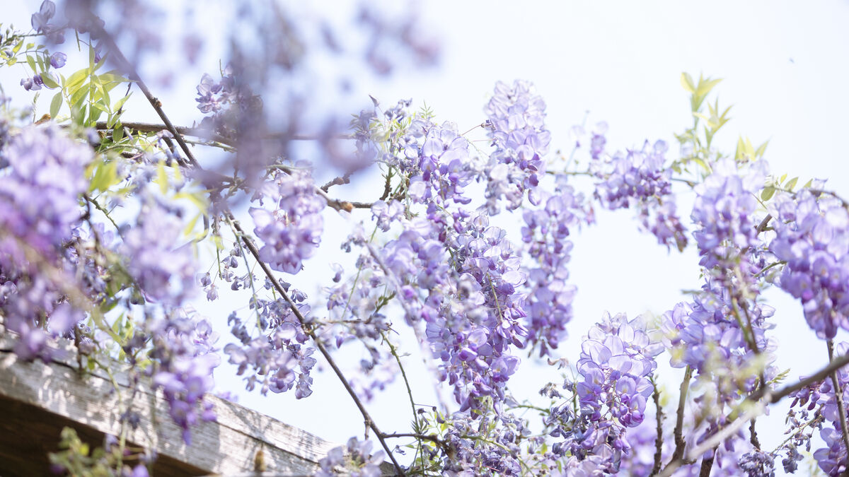 YiTuYu艺图语 Vol.8900 Xiao Y Jin Tian Ye Hen Kai Xin