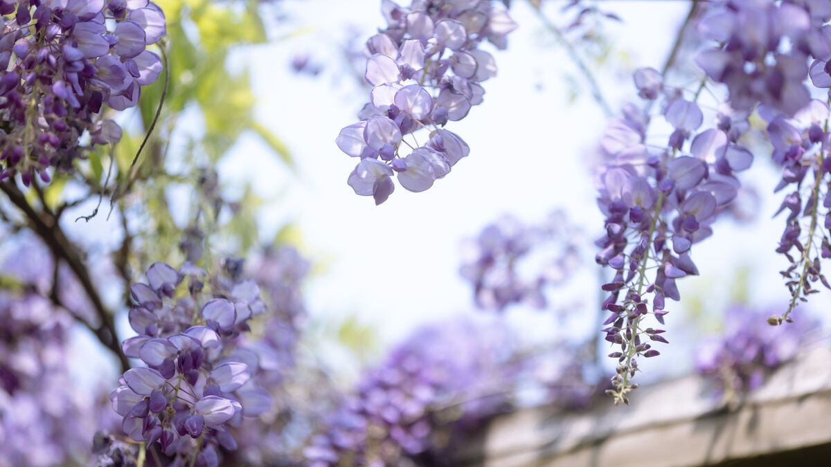 YiTuYu艺图语 Vol.8900 Xiao Y Jin Tian Ye Hen Kai Xin