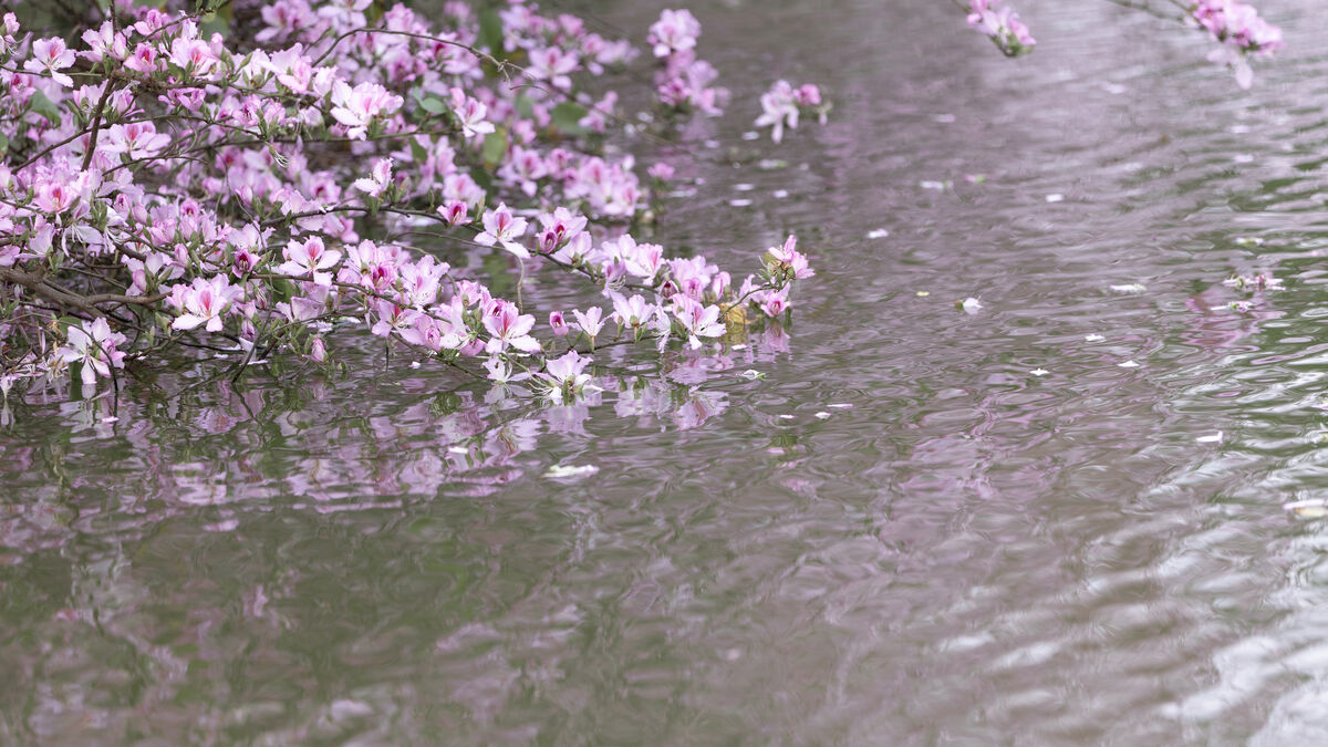 YiTuYu艺图语 Vol.8912 Qiao Qiao