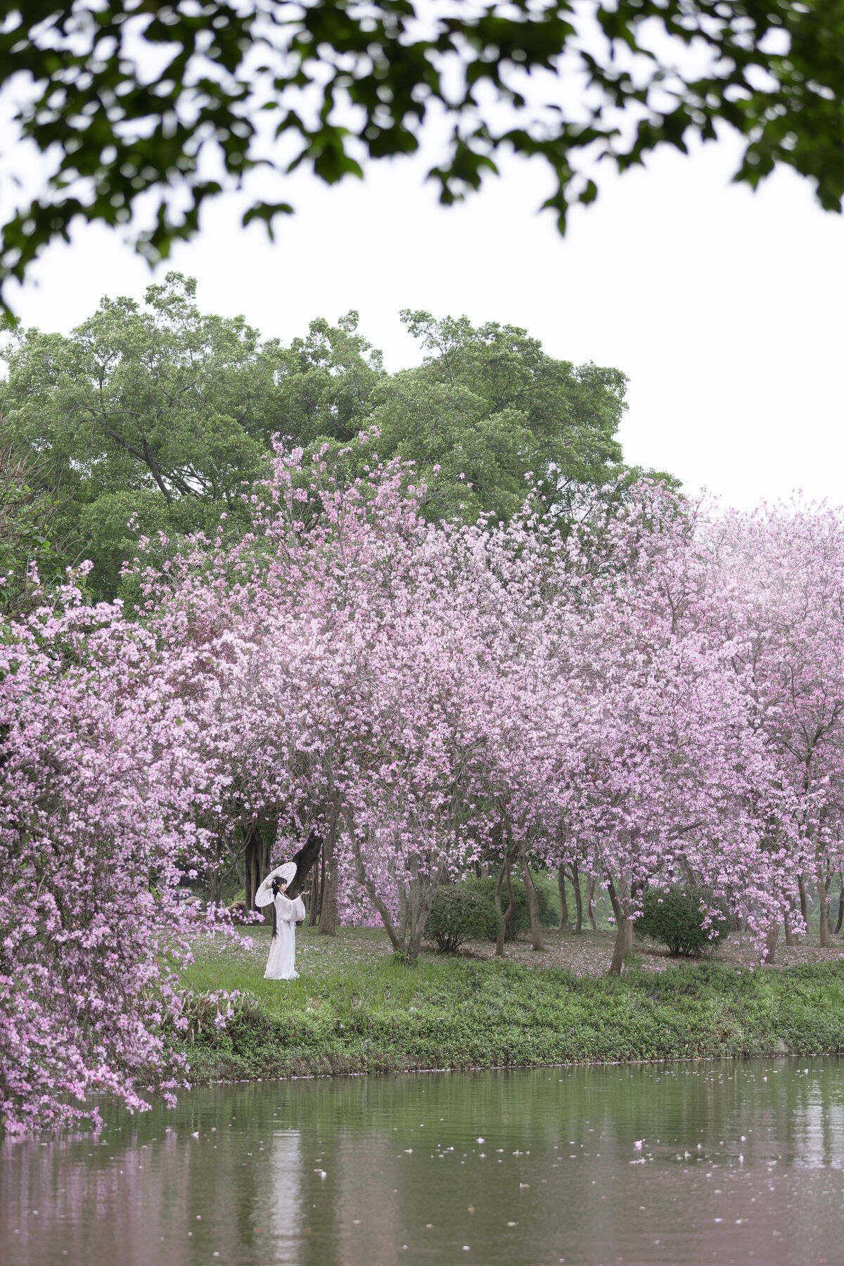 YiTuYu艺图语 Vol.8912 Qiao Qiao