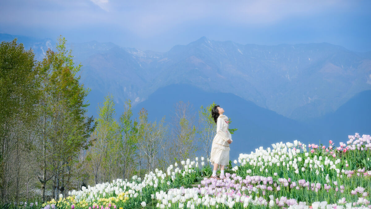 YiTuYu艺图语 Vol.8915 Disexi Si Ning