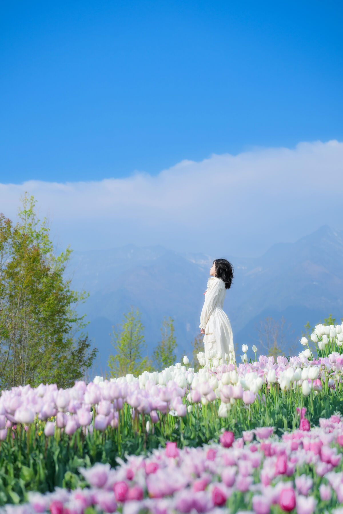 YiTuYu艺图语 Vol.8915 Disexi Si Ning