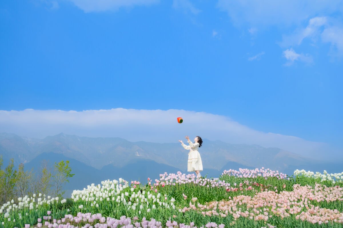 YiTuYu艺图语 Vol.8915 Disexi Si Ning