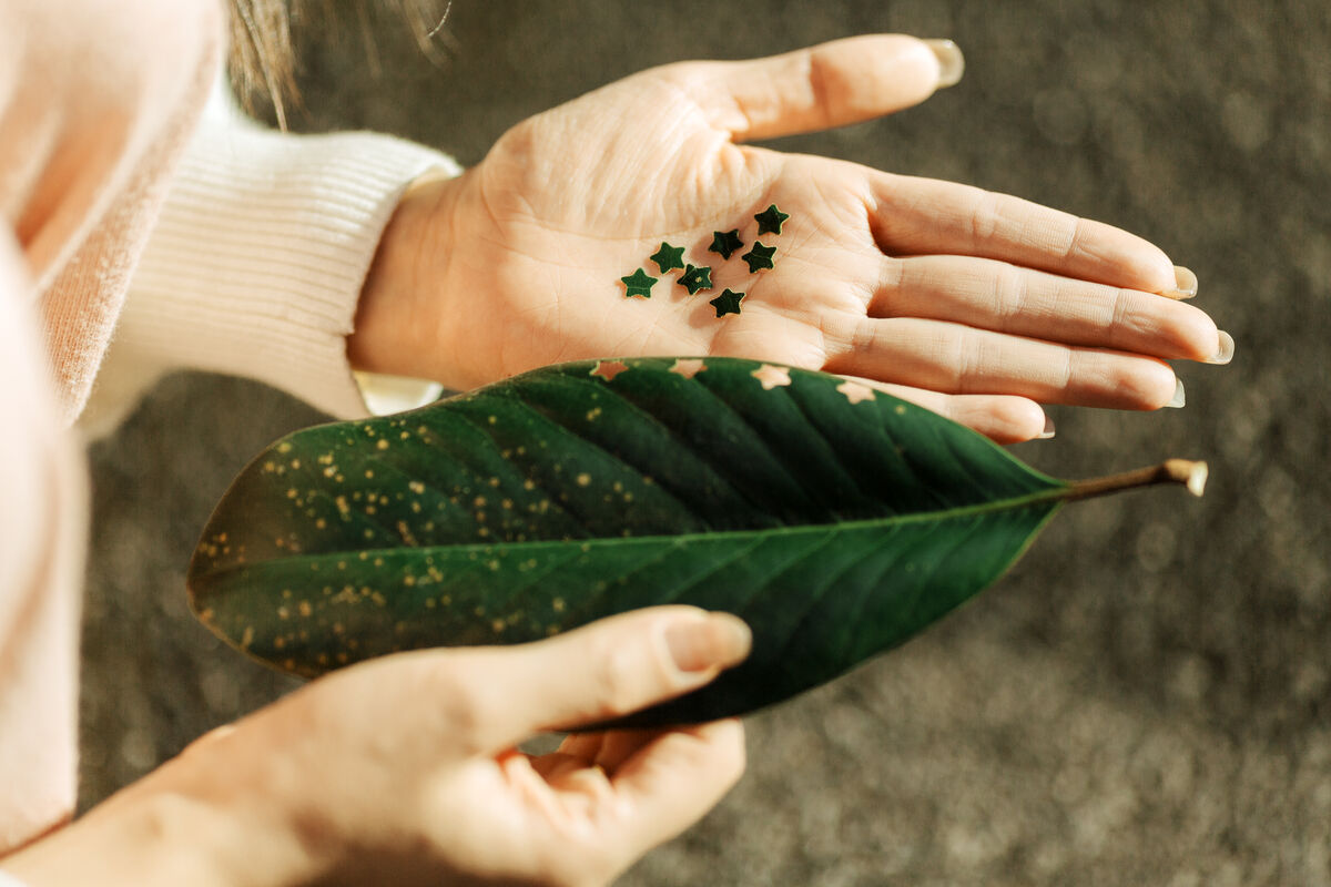 YiTuYu艺图语 Vol.8917 Wo Shi Xiao Long Ya