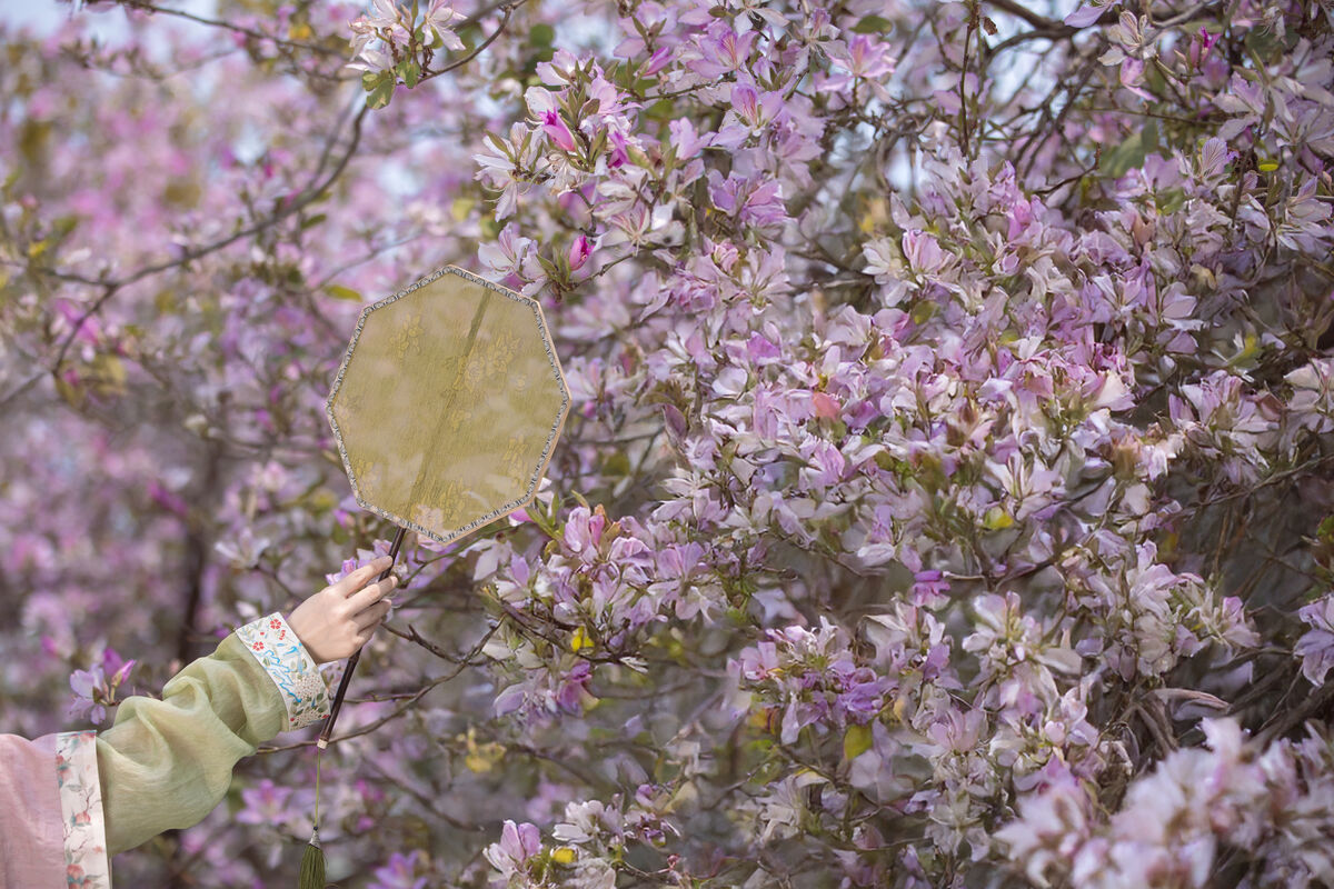 YiTuYu艺图语 Vol.8918 Jiu Shi Jiao Mei Nan A