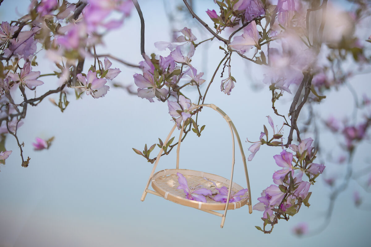 YiTuYu艺图语 Vol.8918 Jiu Shi Jiao Mei Nan A