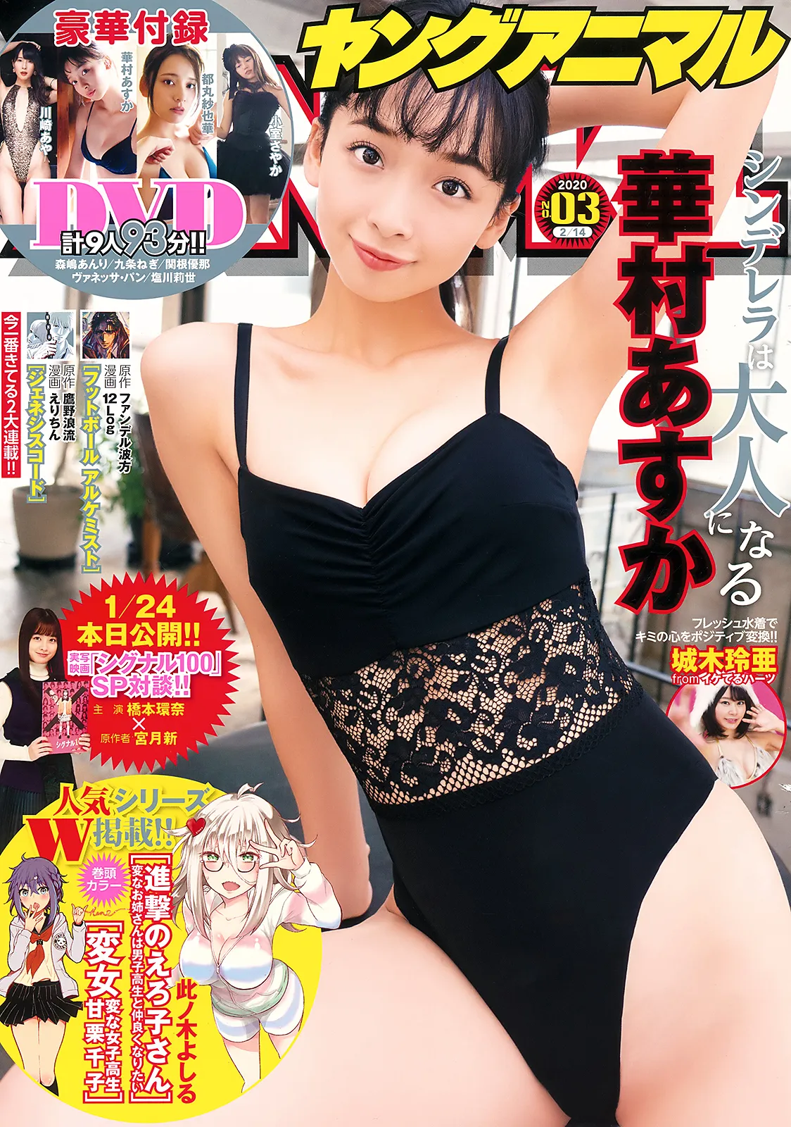 [Young Animal] 2020 No.03 (华村あすか 城木玲亜)