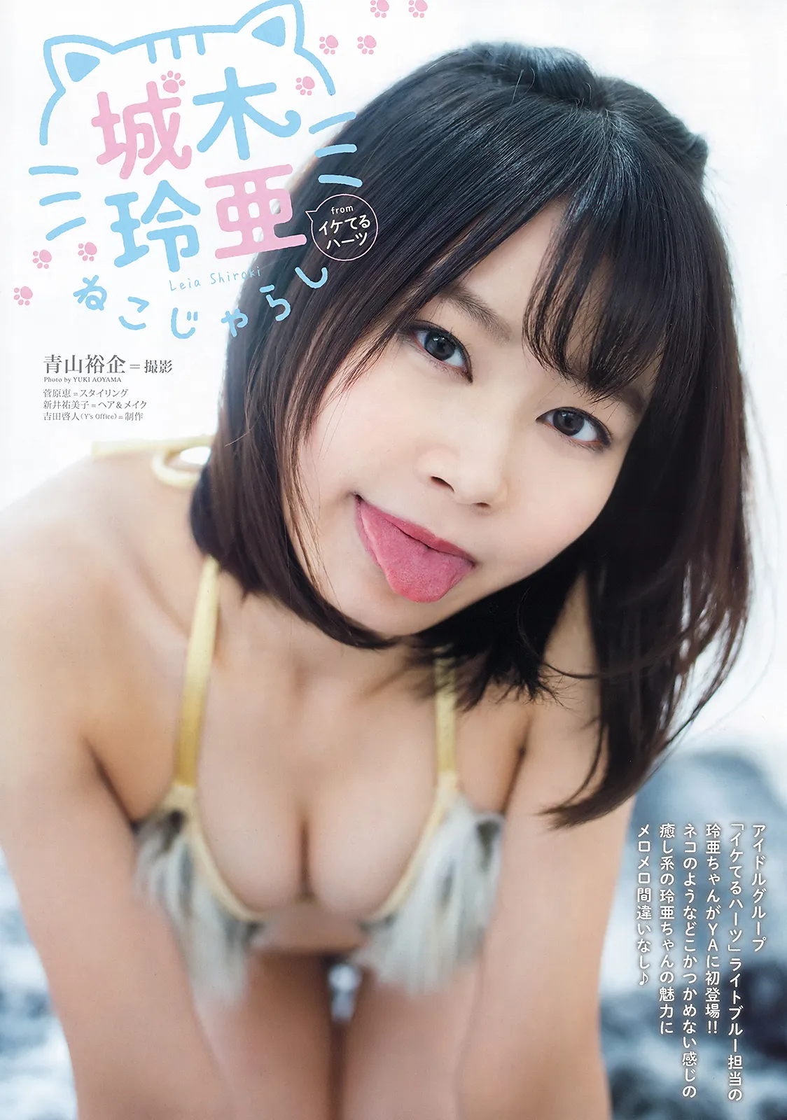 [Young Animal] 2020 No.03 (华村あすか 城木玲亜)