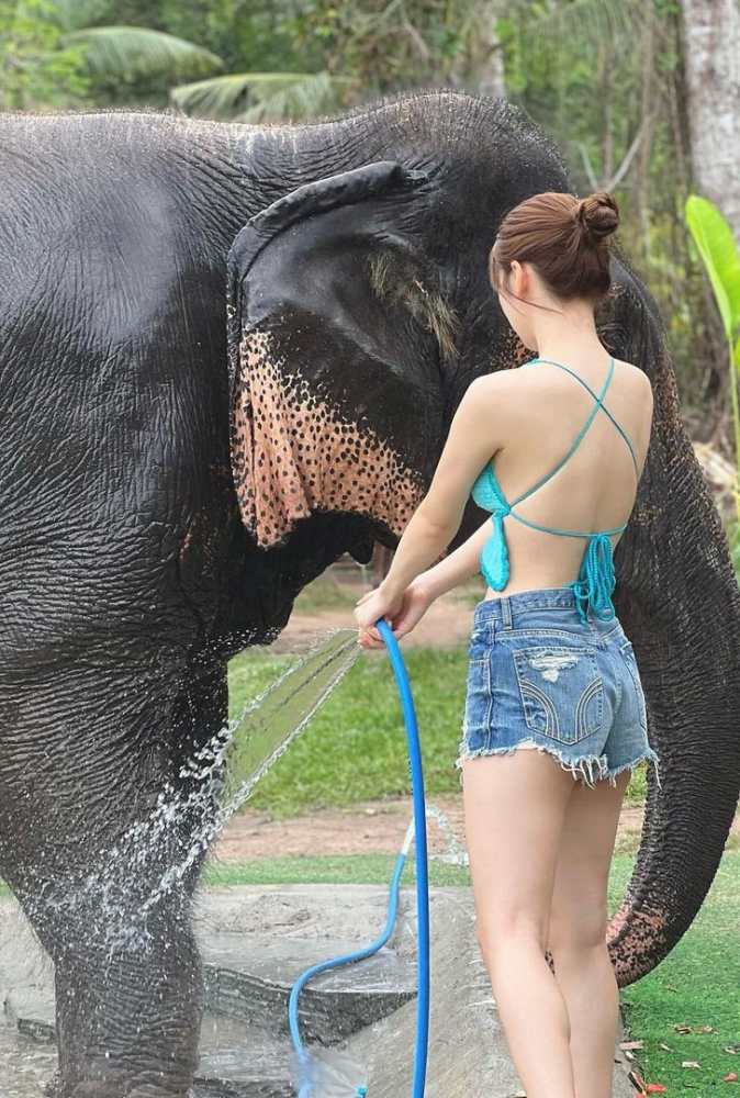 雪平莉左 グラマラス美女の水着グラビア画像！