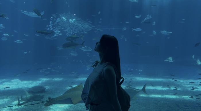 野村るな グラマラスな水着グラビア画像ほか！