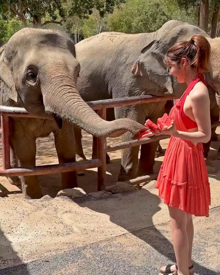 阿部なつき ボンキュッボンの水着グラビア画像！