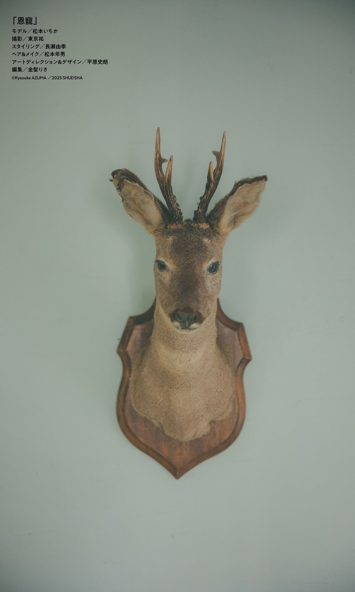 Matsumoto Ichika 松本いちか - デジタル限定 写真集 恩寵 週プレ PHOTO BOOK