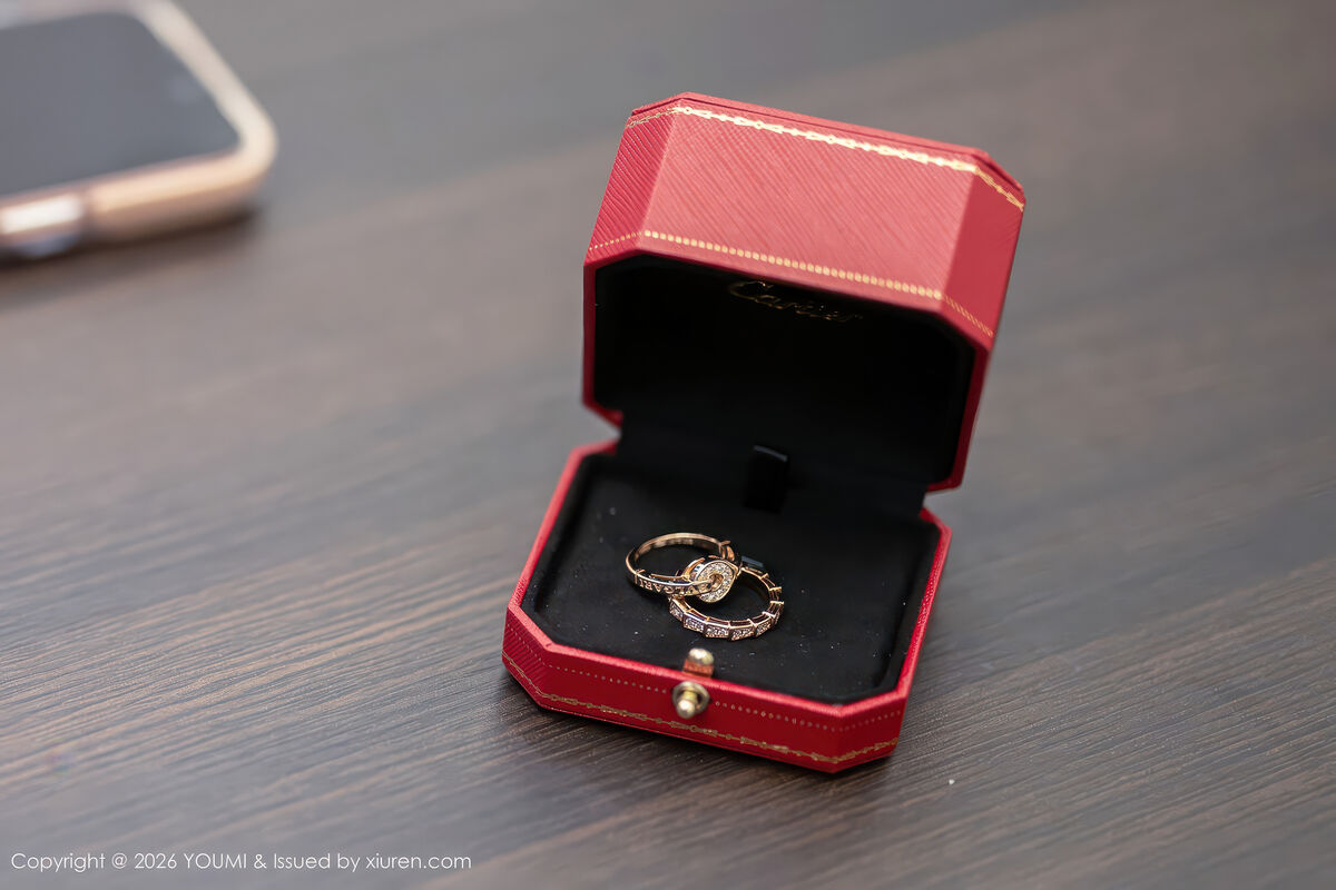 YouMi尤蜜荟 Vol.1198 Twins Tao Tao