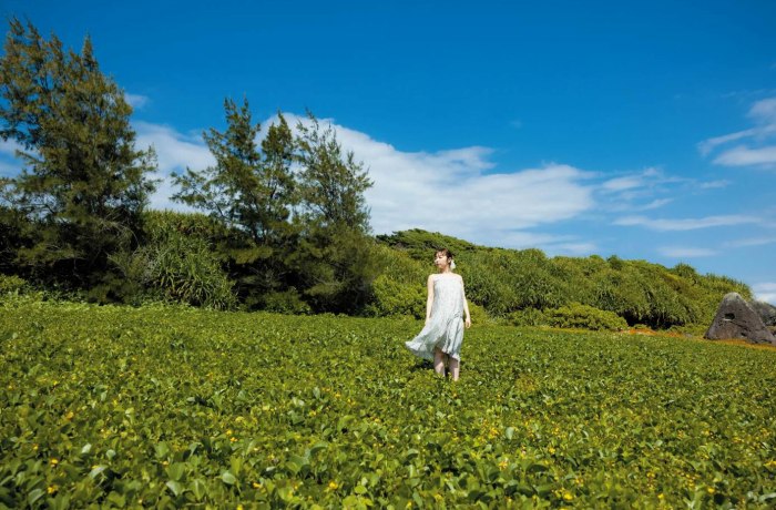 宍戸里帆 Gカップおっぱいのヌード画像！！