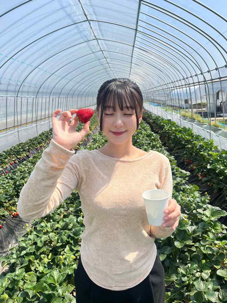 髙野真央 Gカップボインの水着グラビア画像！