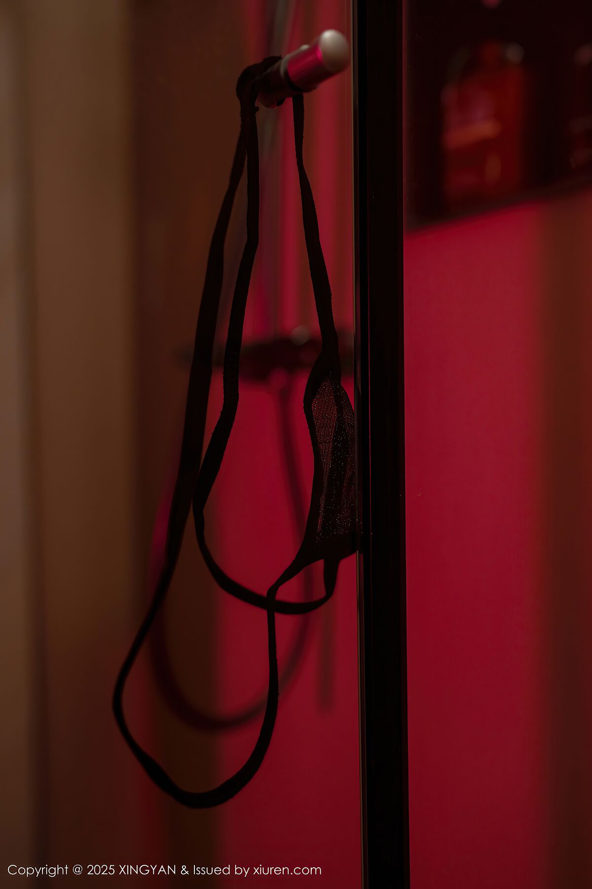 XingYan星颜社 Vol.424 Shen Nan Xi RuRu