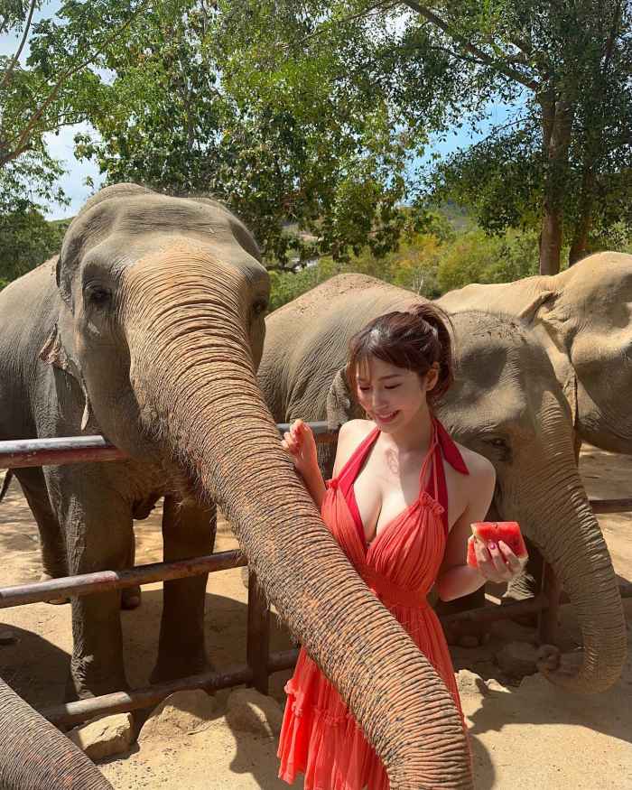 阿部なつき ボンキュッボンの水着グラビア画像！