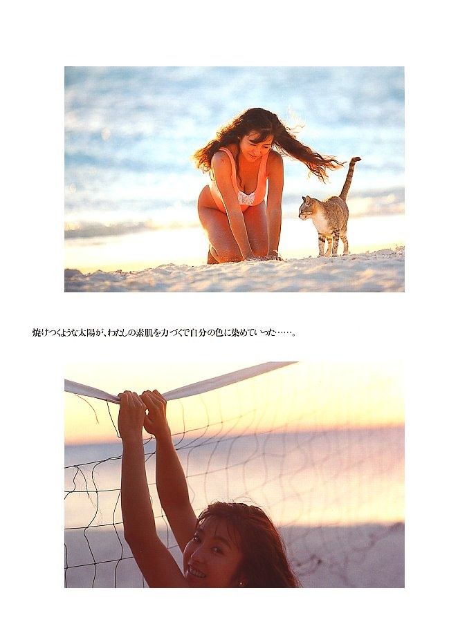 かとうれいこ Eカップ水着グラビア画像他！