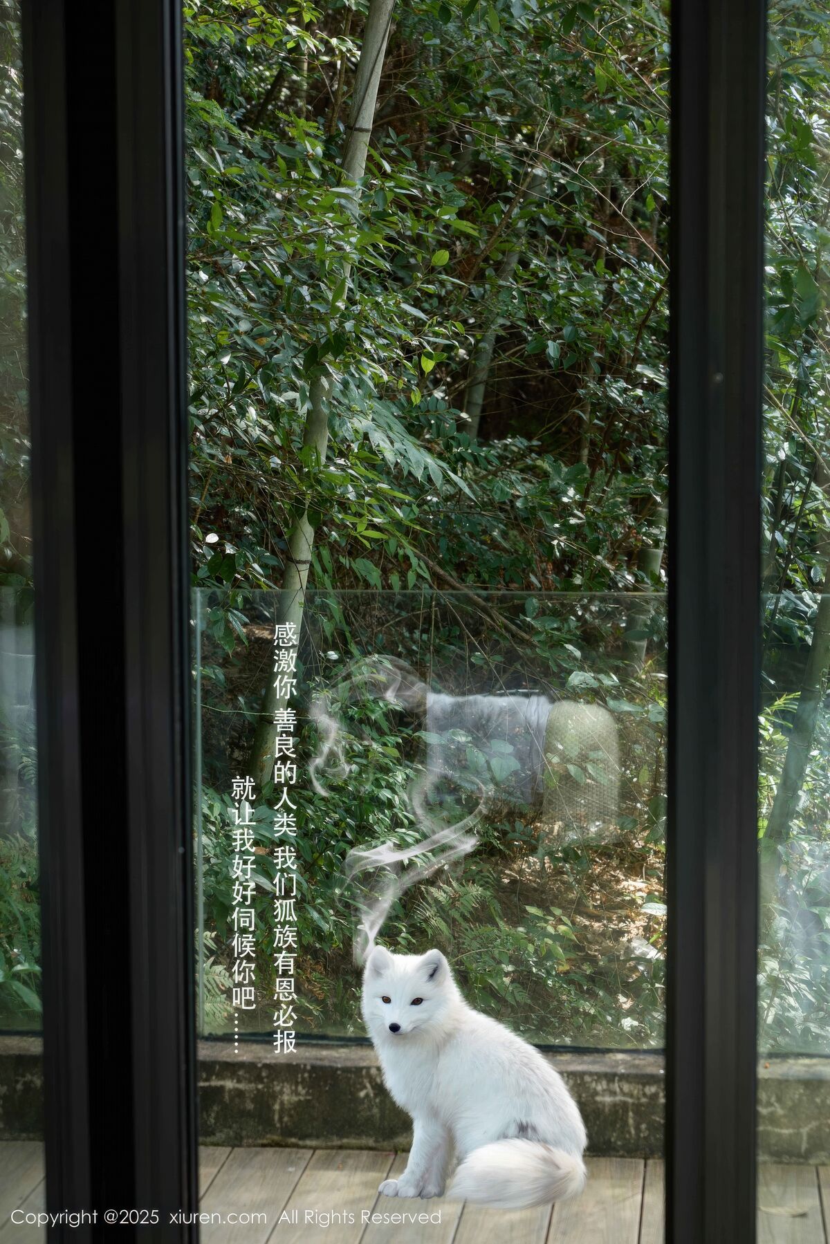 XiuRen秀人网 No.11068 Yin Tian Tian Sunny