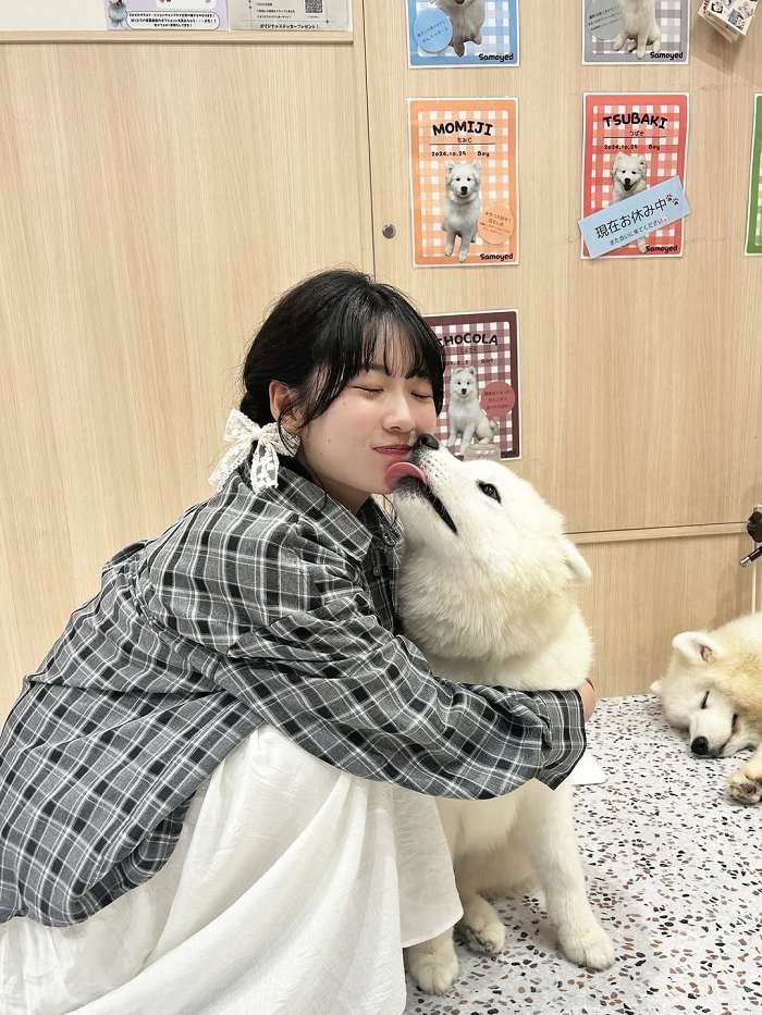 秋田そな Gカップボインの水着グラビア画像！