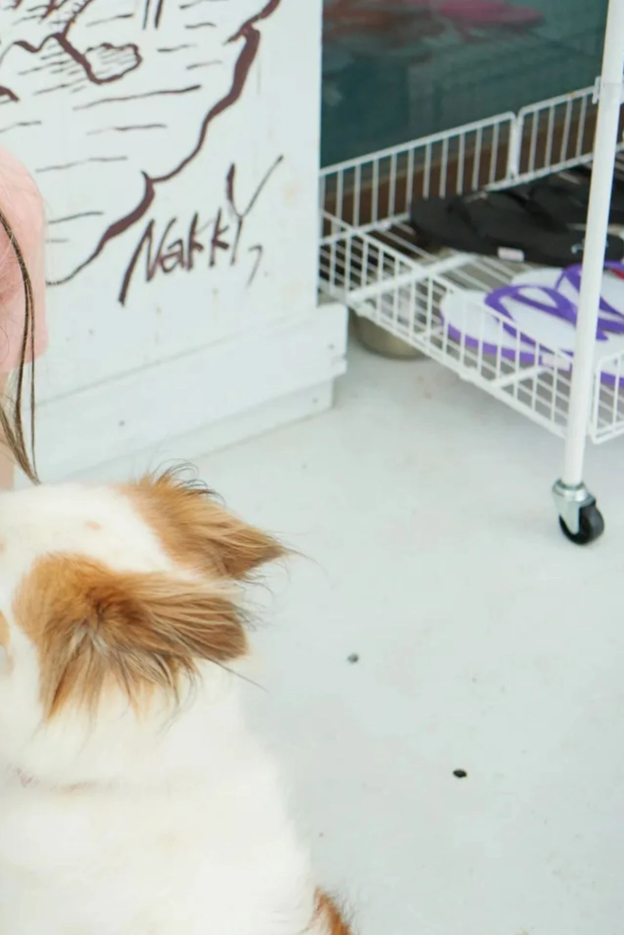 Yuuchami ゆうちゃみ, 2nd写真集 「ちゃみSummer オール未公開」 Set.02