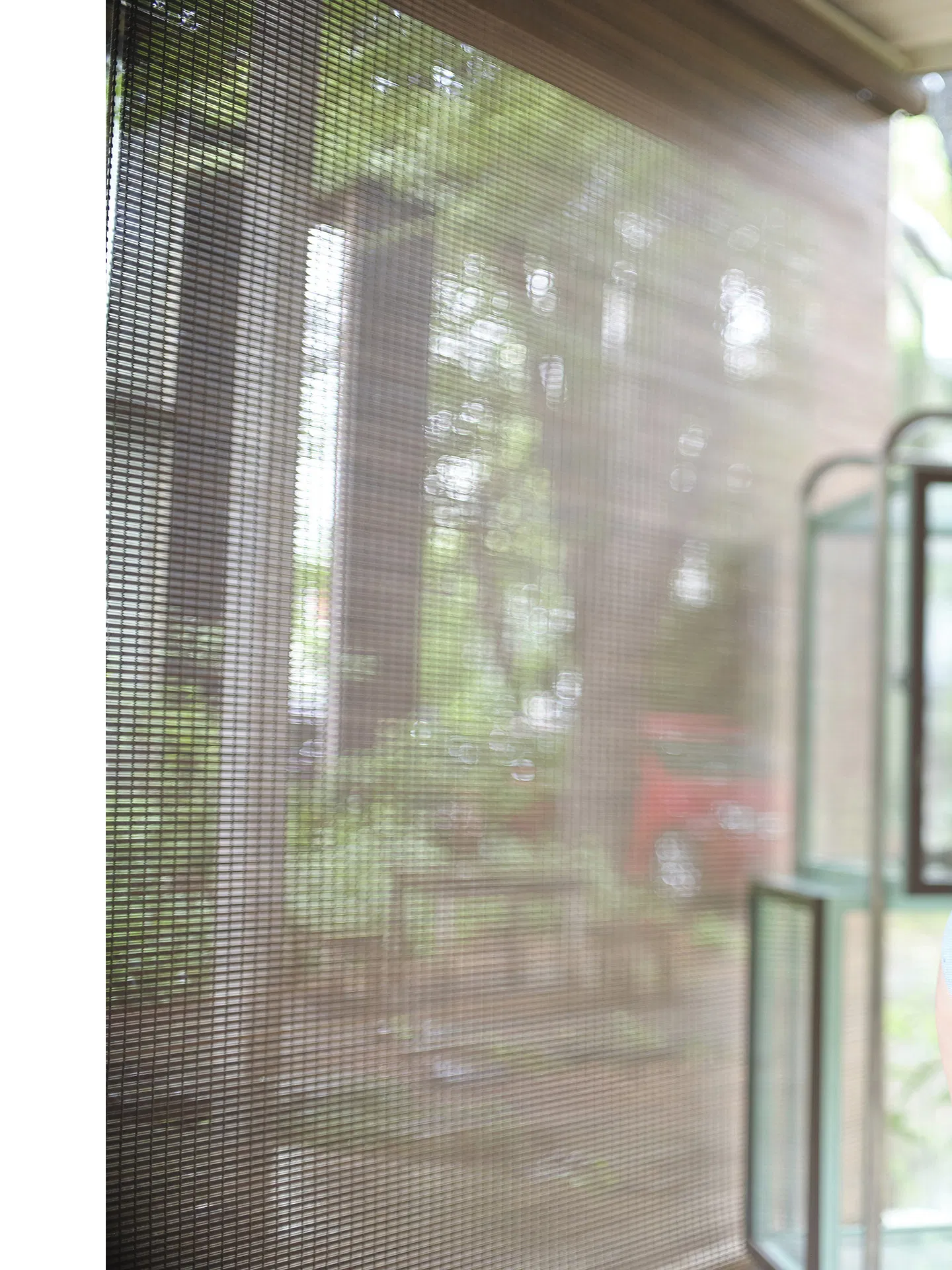 [Photobook] 蓬莱舞 夢まぼろし ENTAMEデジタルフォトブック