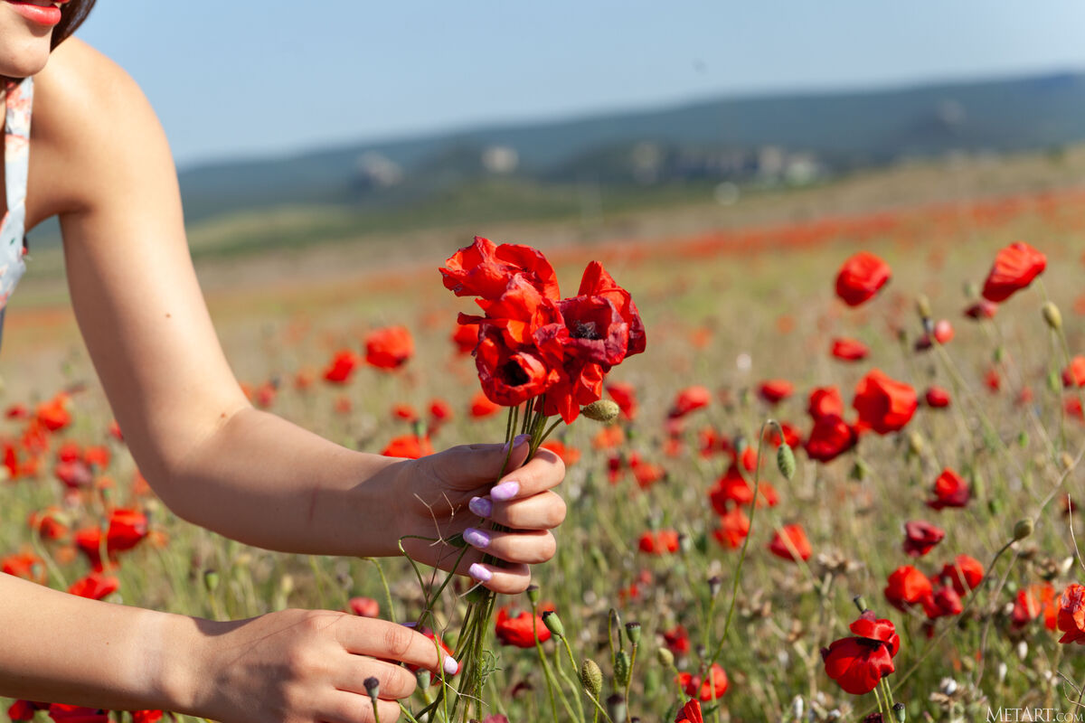 MetArt Sumiko - Poppy Field Part01