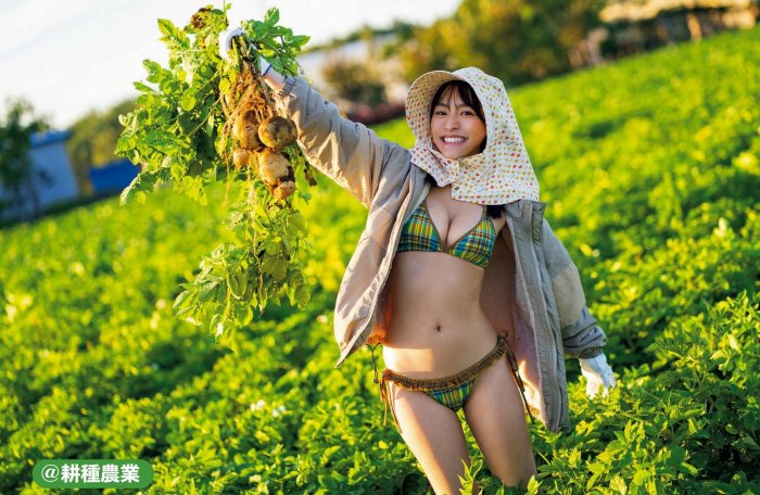 高崎かなみ 鬼かわな水着＆ランジェリー画像！